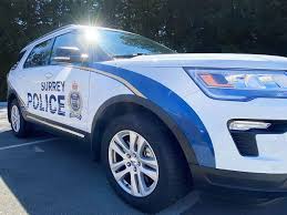 Surrey’s Kulwinder Mann Faces Charges In Alleged Theft And Sexual Assault