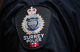 Two Indian Men Charged With Arson And Robbery After Surrey Incident On Sunday