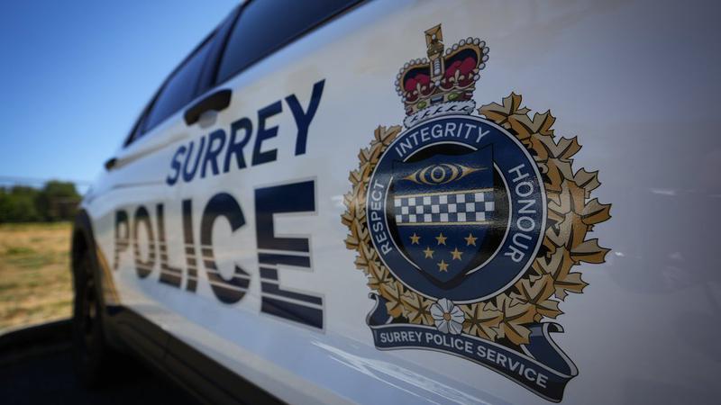 Surrey Police Investigate Shots Fired And Two Vehicle Fires