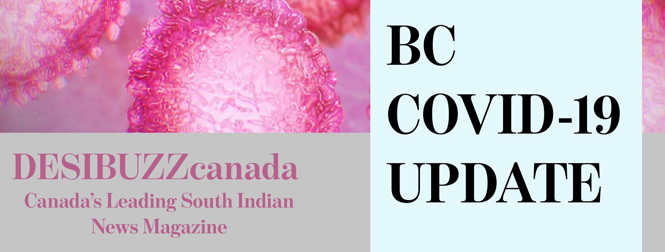 BC COVID-19 DAILY UPDATE: Cases Decrease To Mid 300 Level First Time In Months With Three New Deaths