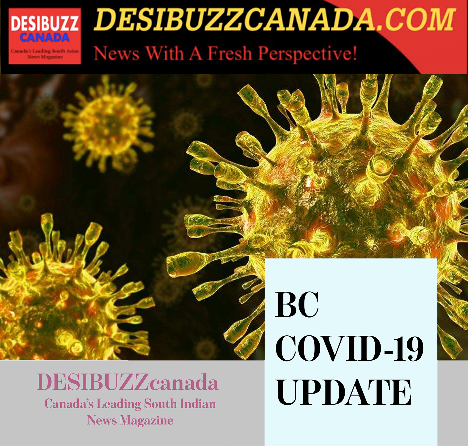 BC COVID-19 UPDATE: Cases Remain Low But Deaths Rise To 14 Wednesday